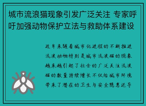 城市流浪猫现象引发广泛关注 专家呼吁加强动物保护立法与救助体系建设