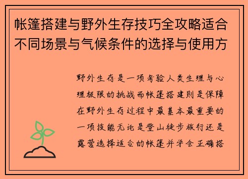 帐篷搭建与野外生存技巧全攻略适合不同场景与气候条件的选择与使用方法